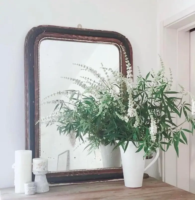 夏の庭。今年も咲き始めました！の画像_3