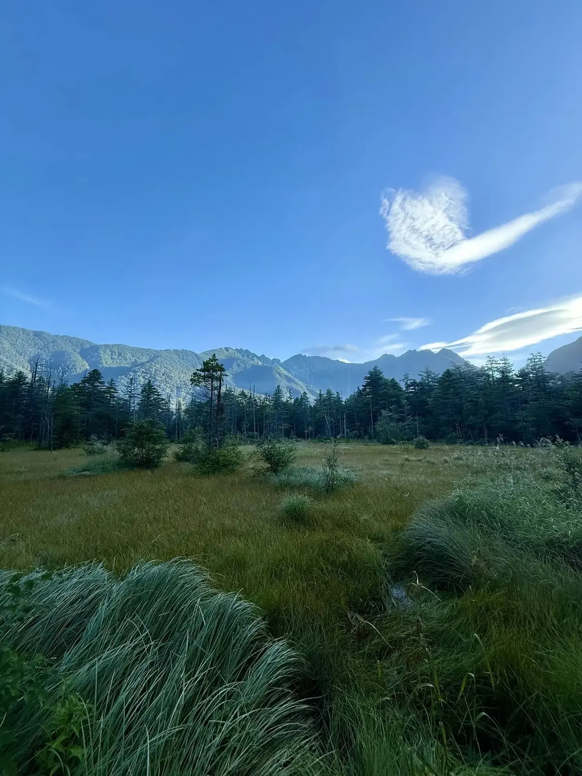 秋に向けて大人ハイライトに挑戦！50代のの画像_3