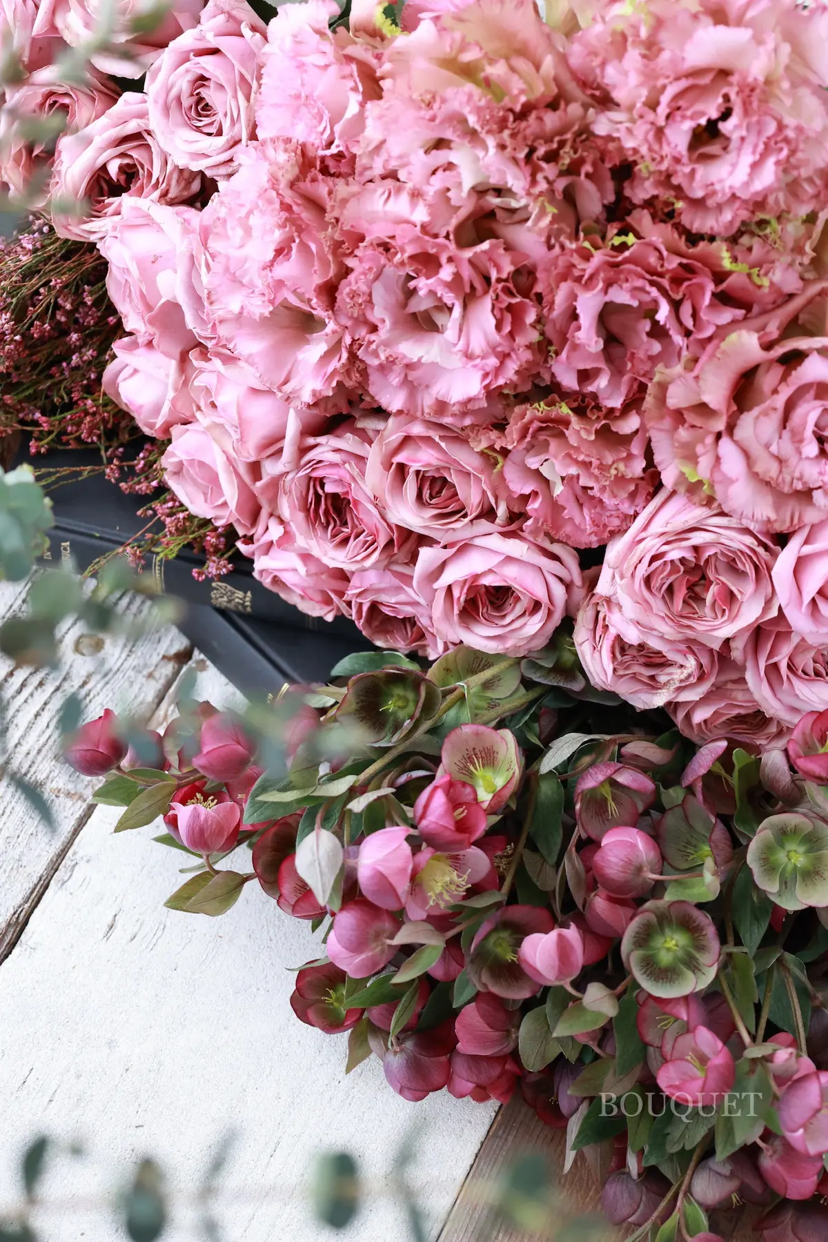 クリスマスローズ　Helleborus niger