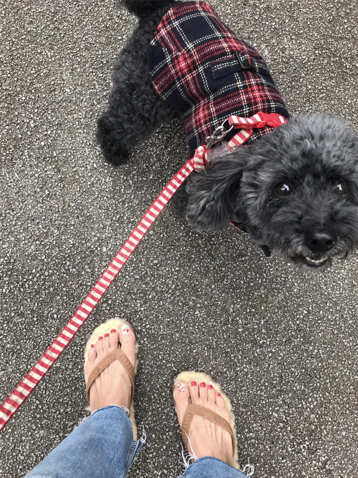 超簡単に！お手軽貼るだけジェルネイル♪の画像_4