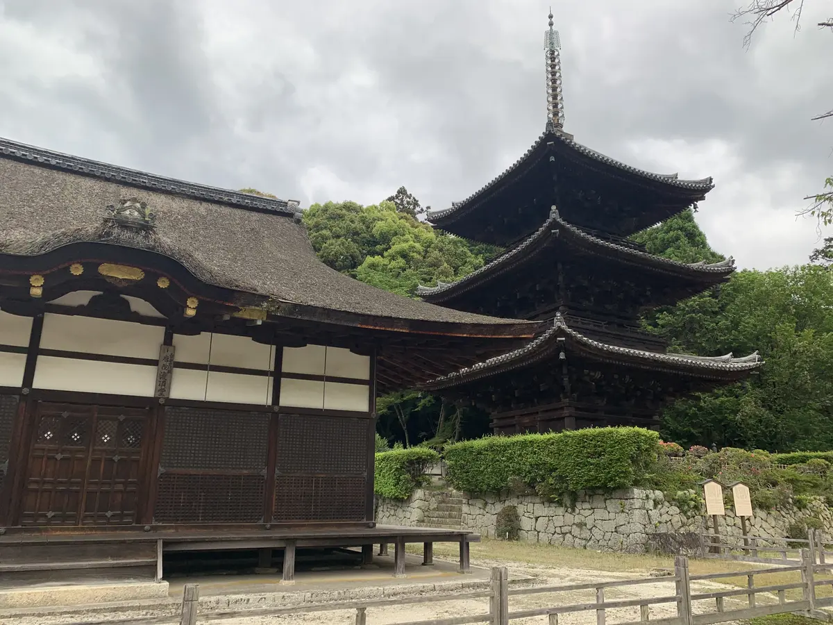 三井寺の三重塔と道場