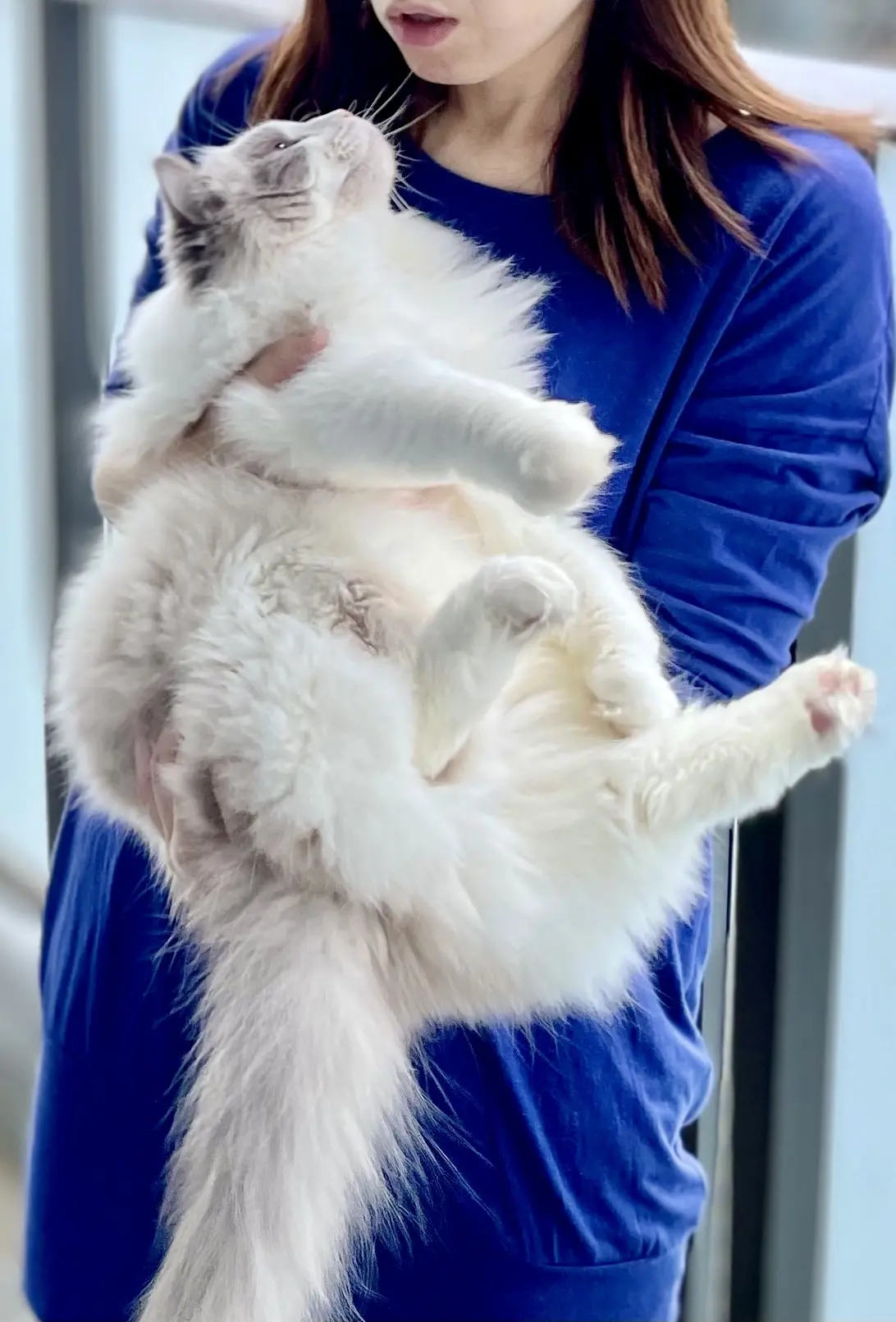 ママにお説教されている下の子