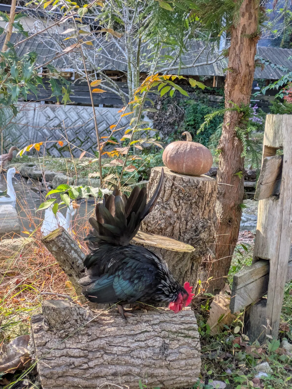 森の中の小さなパン屋さんでブランチデートの画像_5