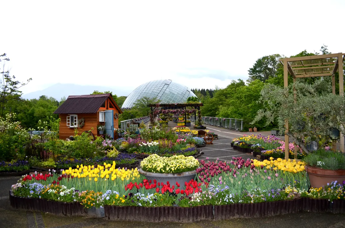 花よりお金？！（金持神社vsとっとり花回の画像_4