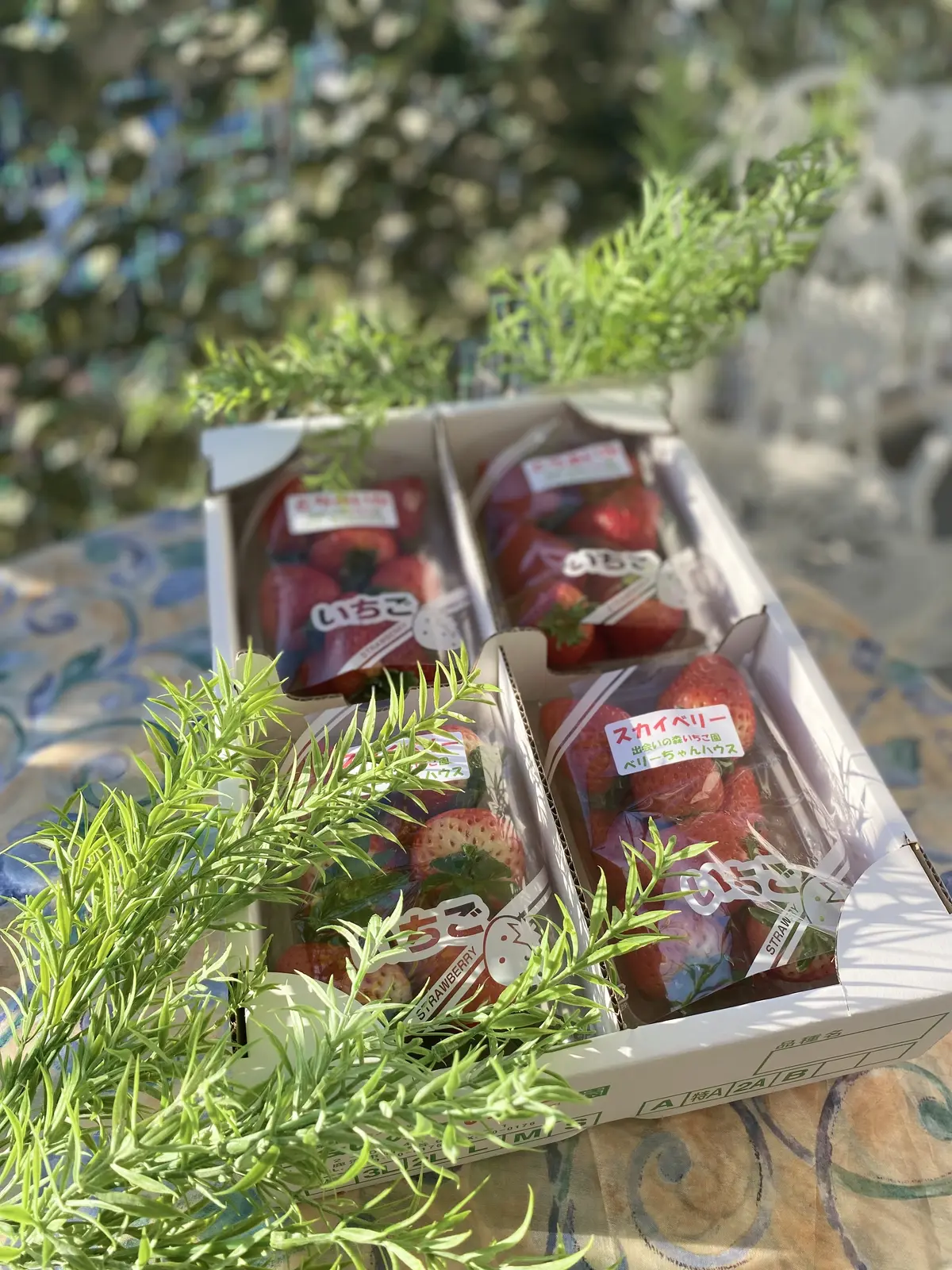 湘南食い倒れツアー⭐︎vol 1の画像_6