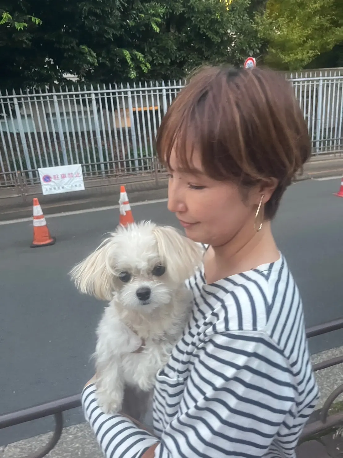 犬と私