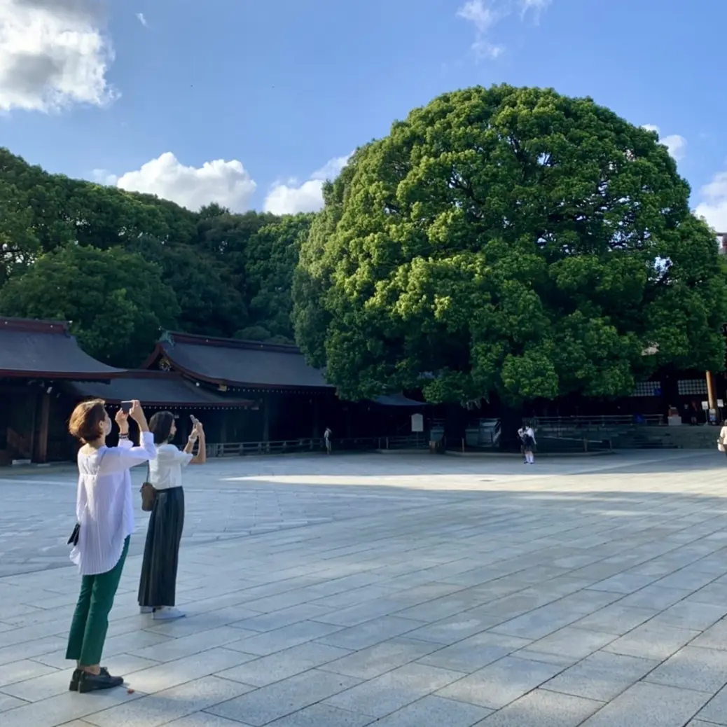 秋の神社巡り＆ランチの画像_6