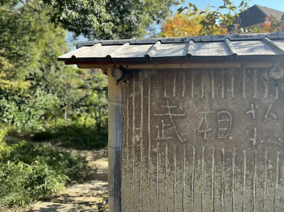 コスモス柄ワンピースで「武相荘」への画像_9