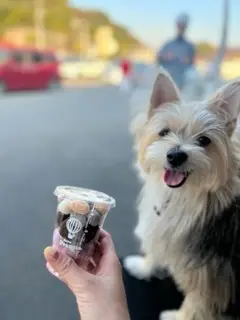 私は小さいカップにしました！