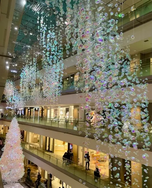 ブラームスの小径をお散歩☆の画像_4