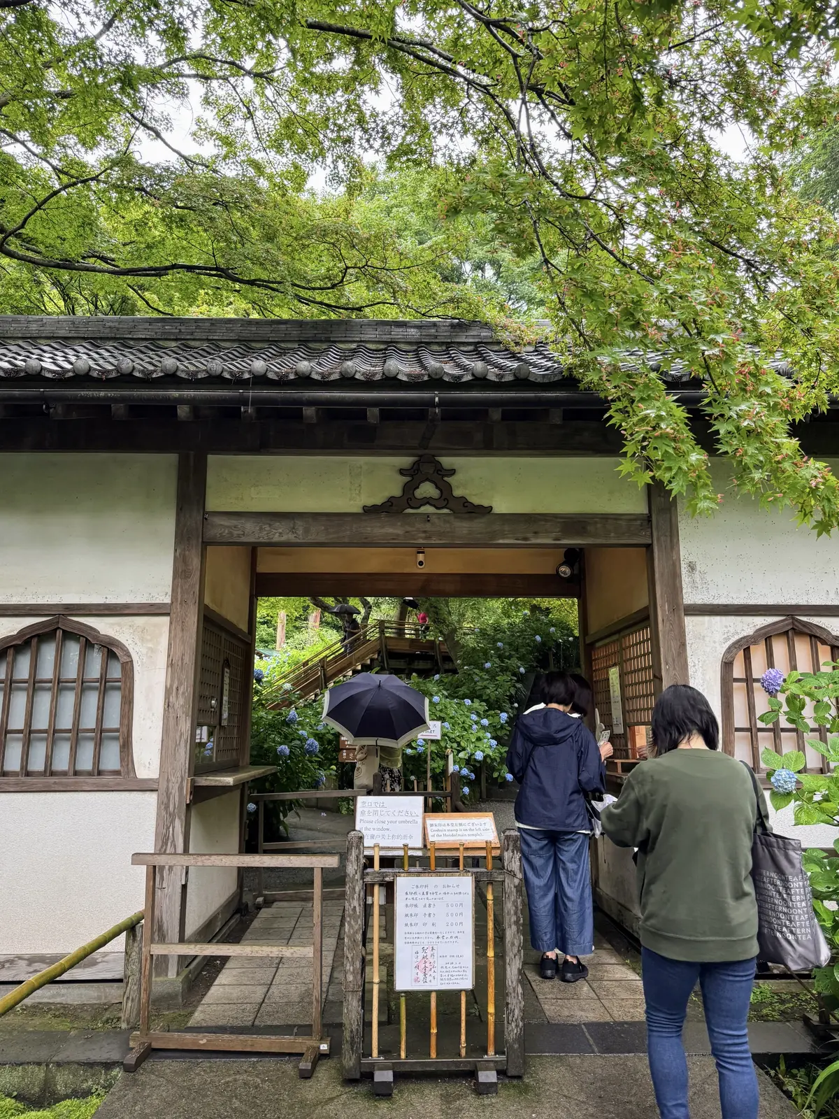 紫陽花の季節、自分で仕立てたお着物で古都の画像_3