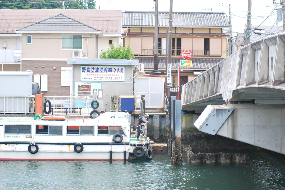 【さかぽんの冒険】七夕☆松ごしに望む海岸の画像_4
