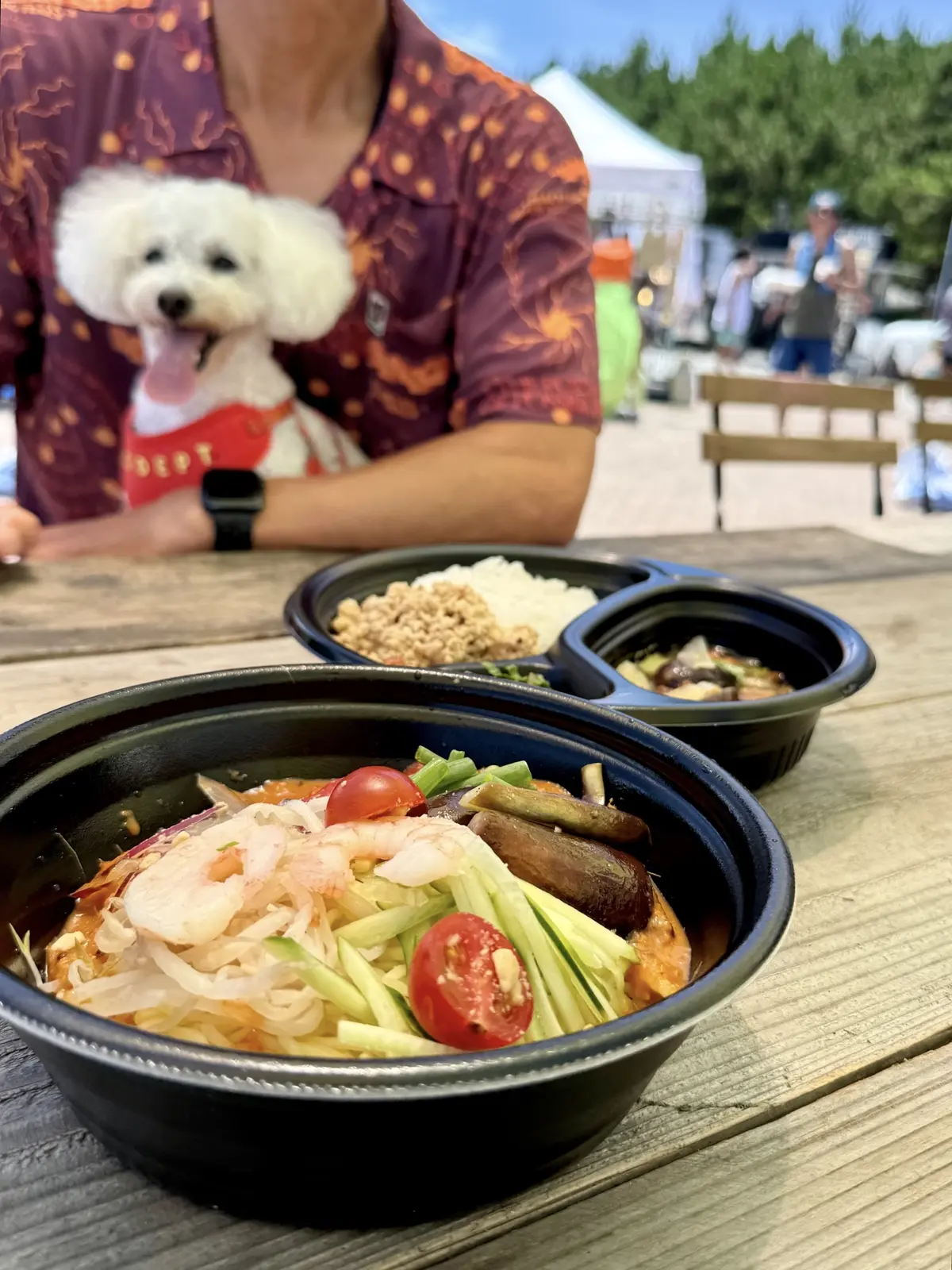 大原海水浴場　サマーフェスティバル　アジアンフード