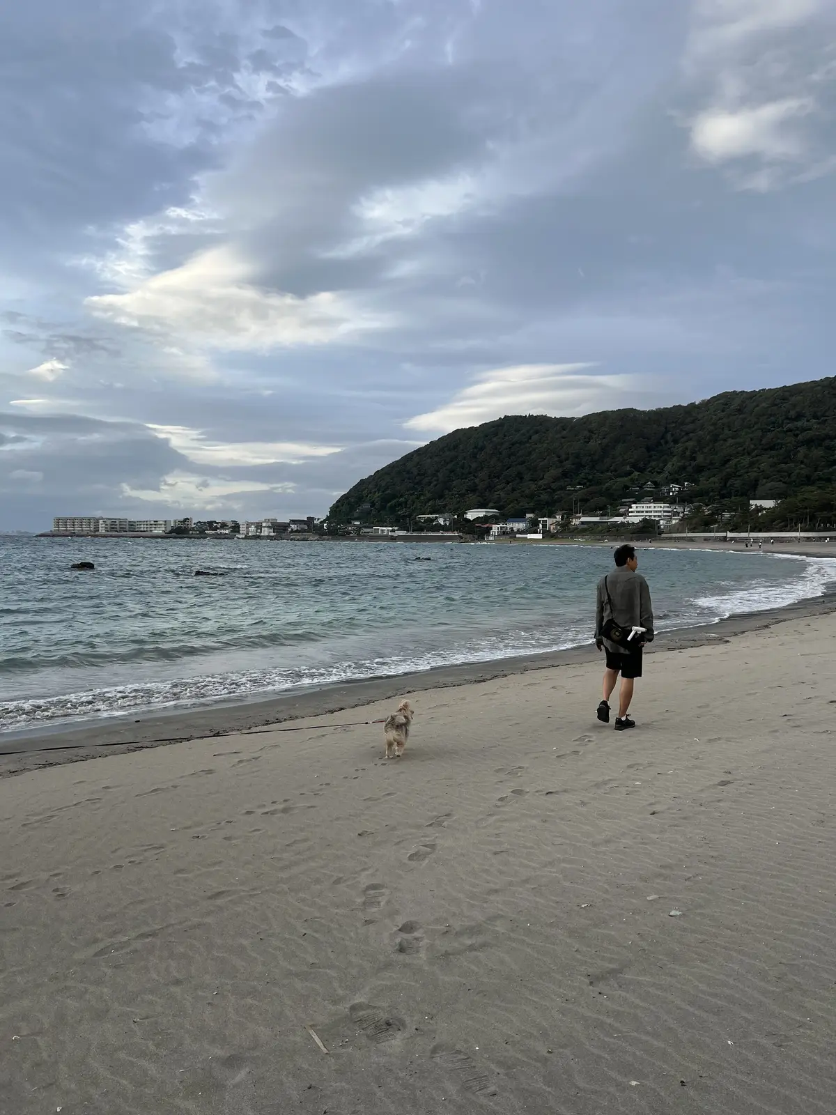 砂浜散歩を楽しむ家族