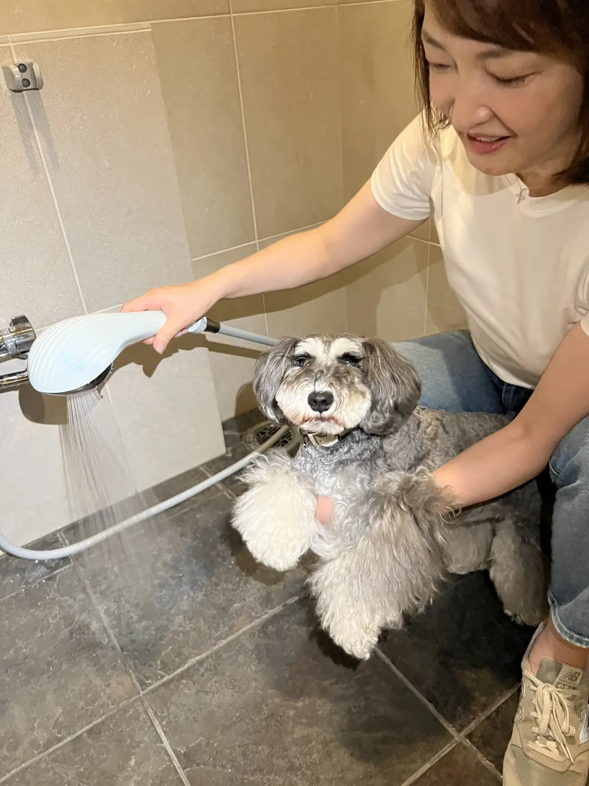 ハイアットリージェンシー箱根