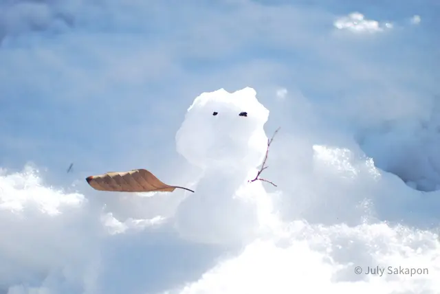 【さかぽんの大冒険】やってしまった冬山登の画像_6