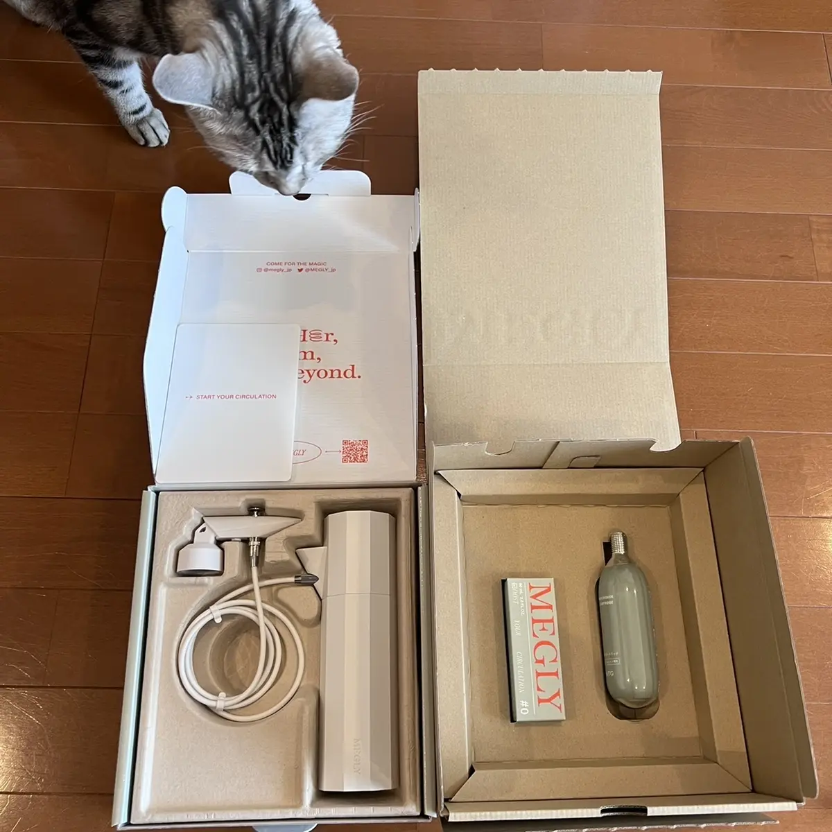 ウルトラ炭酸ミストデバイス　MEGLY　スターターキット