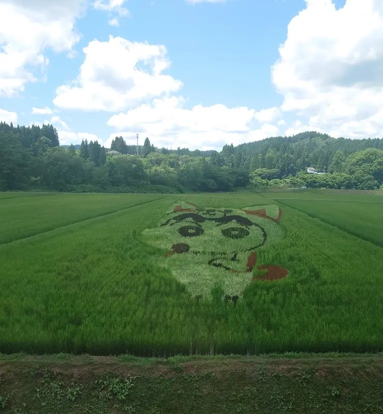 内陸線田んぼアート「秋田犬しんちゃん」