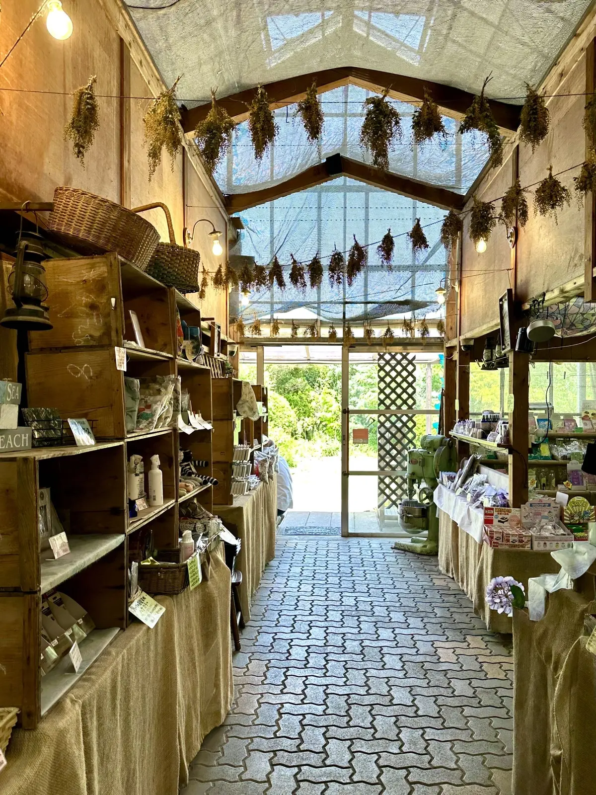 ハーブガーデンで過ごす癒しの時間♡千葉にの画像_5