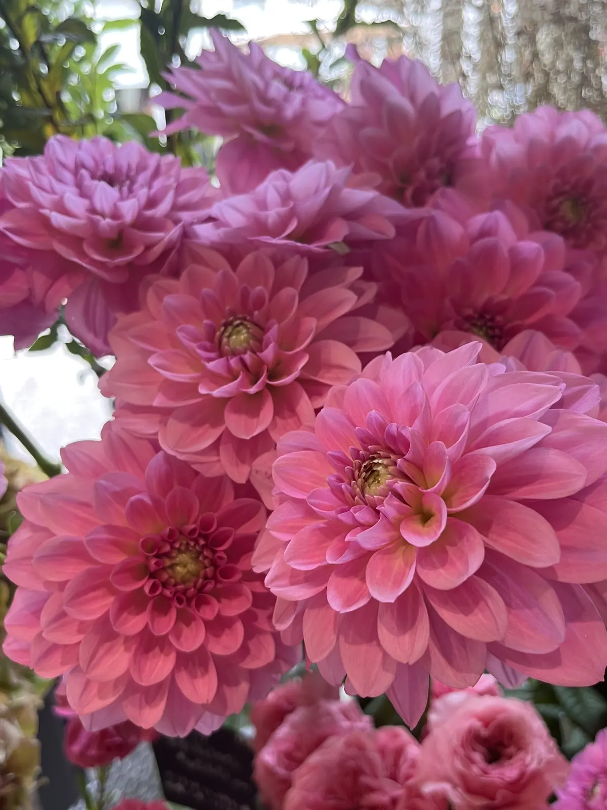 久々の花活♪秋色のお花の中で〝花屋で写真の画像_14