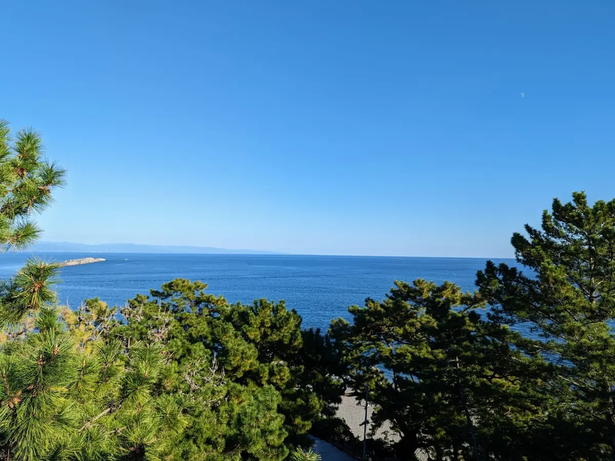 高知やき！ 盛り沢山な大人女子旅になったの画像_6