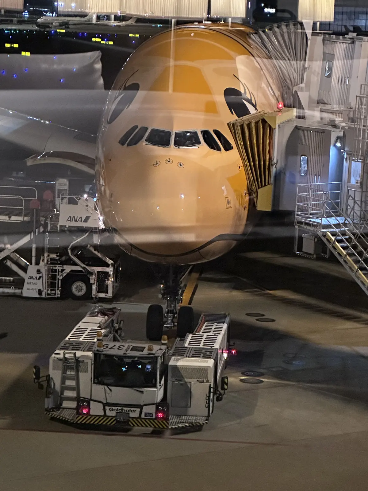 Hawaiiオアフ島へ家族旅行の画像_1