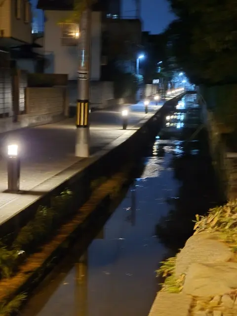 栗林公園ライトアップの画像_15