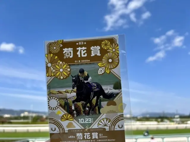 限定ノベルティ