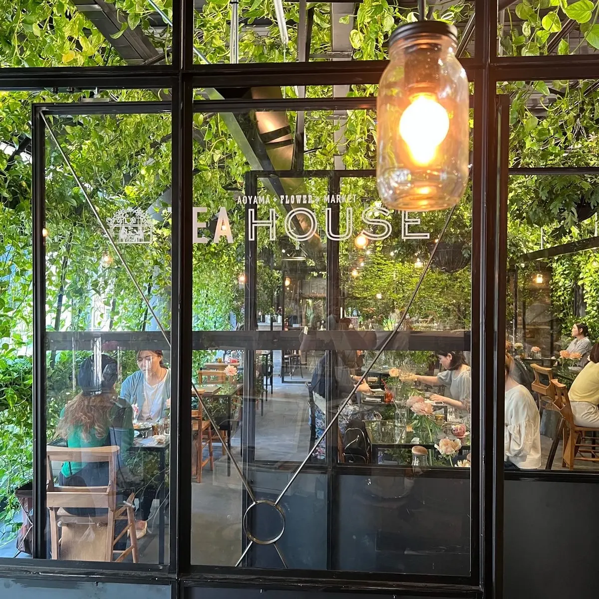 花に包まれた花ハシゴした1日の画像_2