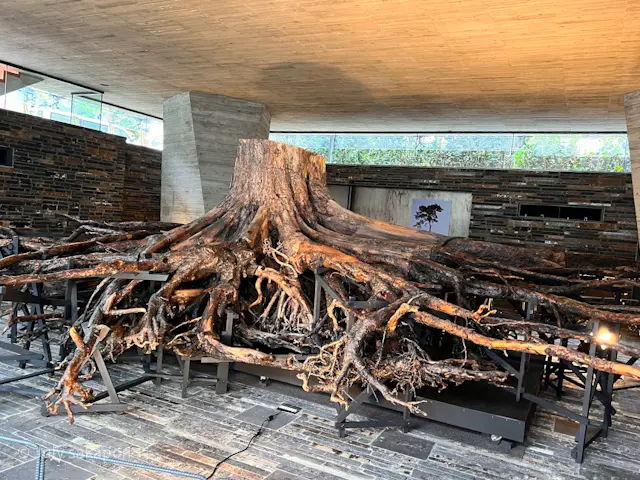 【さかぽんの冒険】建築探訪『奇跡の一本松の画像_14