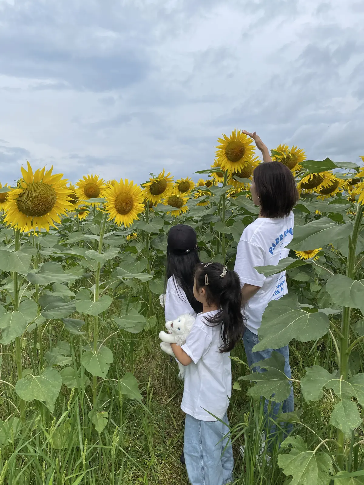 ハマラノーエンさんの生とうもろこしの画像_3