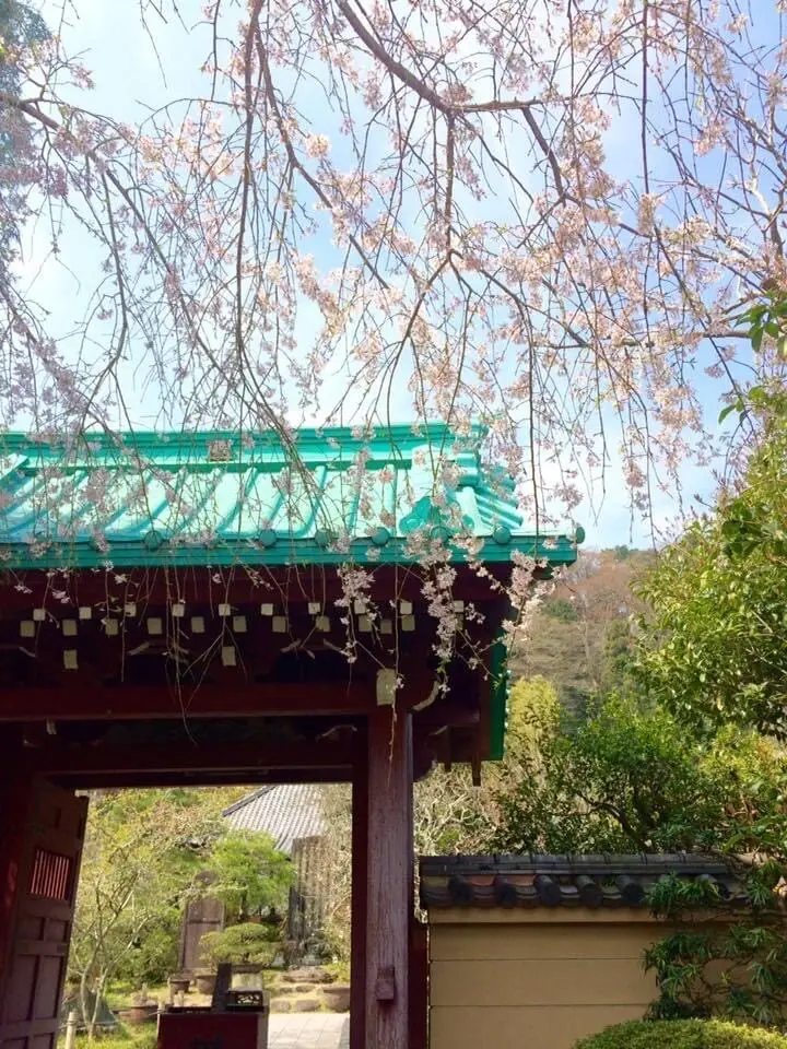 4月8日は「花まつり」の画像_1