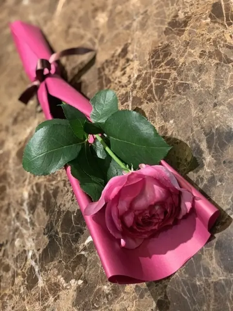 雨の日の打ち合わせは、濡れても丈夫なBaの画像_3