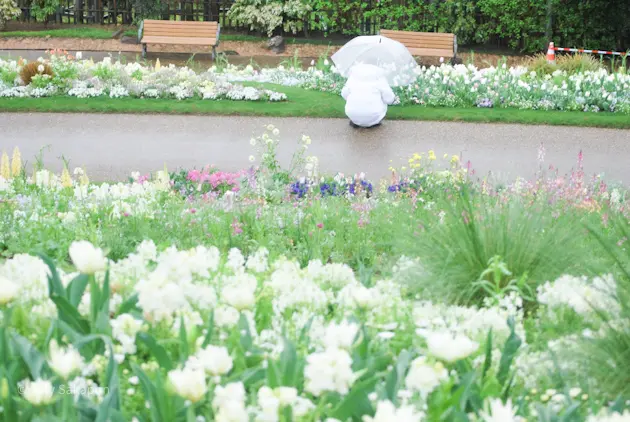 【さかぽんギャラリー】里山ガーデンフェスの画像_8