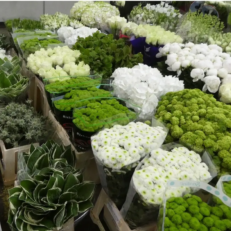 フランス　ランジス市場