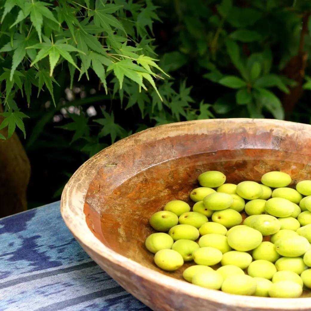 梅仕事の画像_1