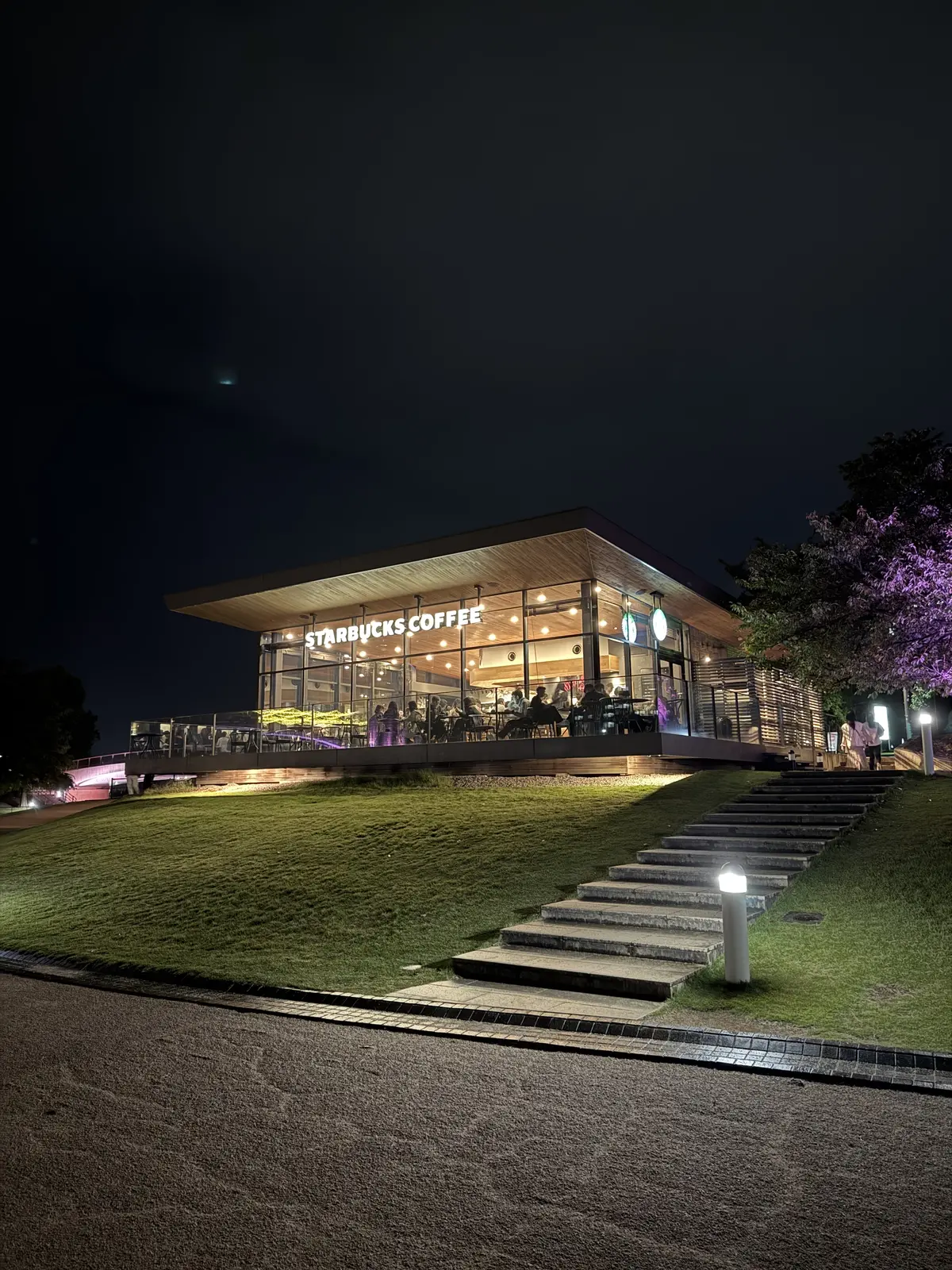 富山　富山観光　富山観光スポット　日本一美しいスタバ　スターバックス　