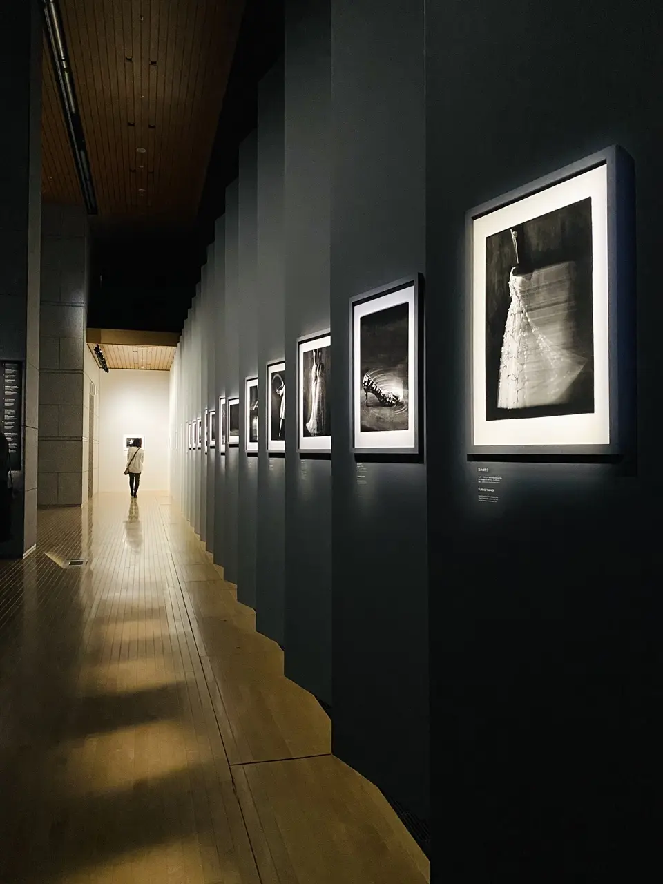 ディオール展 高木由利子氏写真作品