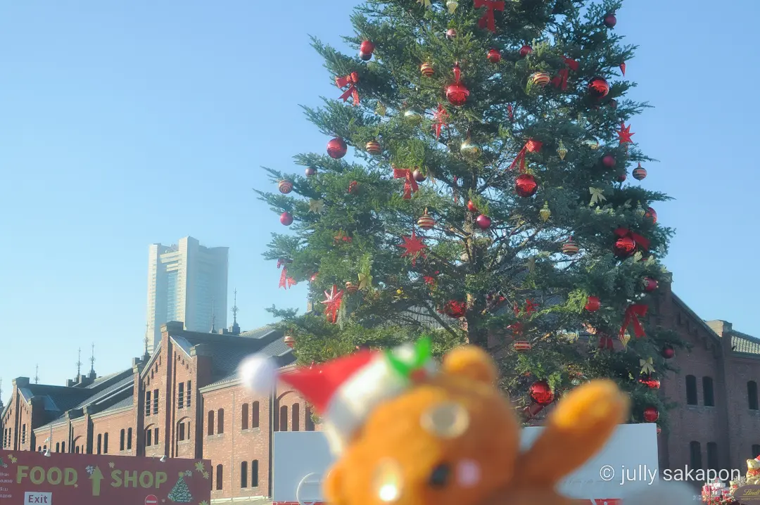 【さかぽんの冒険】こころキラメク冬の横浜の画像_6