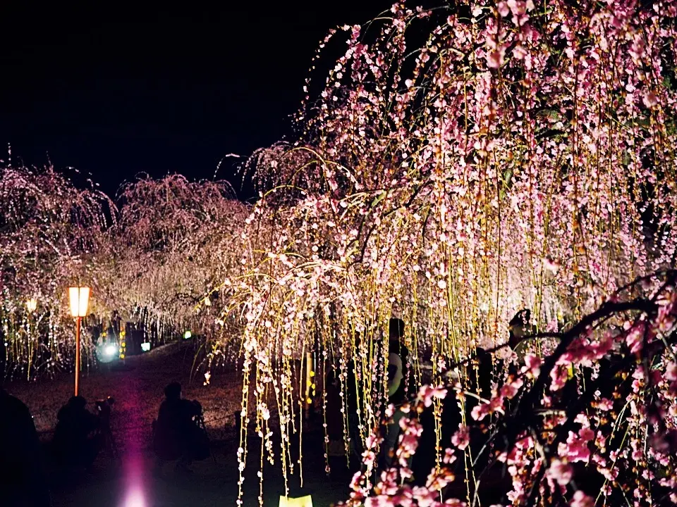 春の新作ZARAワンピで、バンクシーっての画像_12