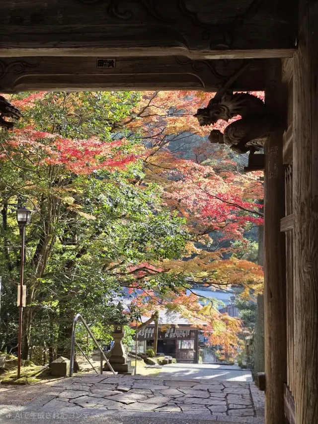 秋の紅葉とランチの画像_5