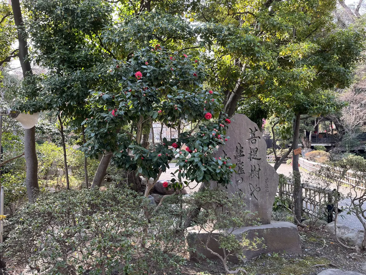 【調布】平日ソロ活♡深大寺へGO！の画像_8