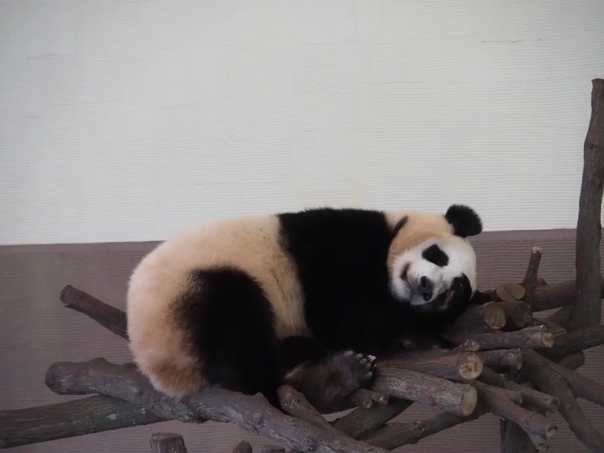 初めての和歌山県!!紀南方面へ2人旅♡～の画像_10