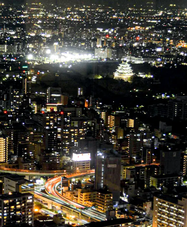 【絶景ハンターさかぽん】名古屋シャチホコの画像_7