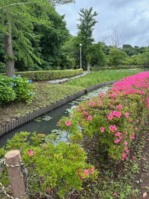 スニーカーコーデでバラの季節におすすめのの画像_7