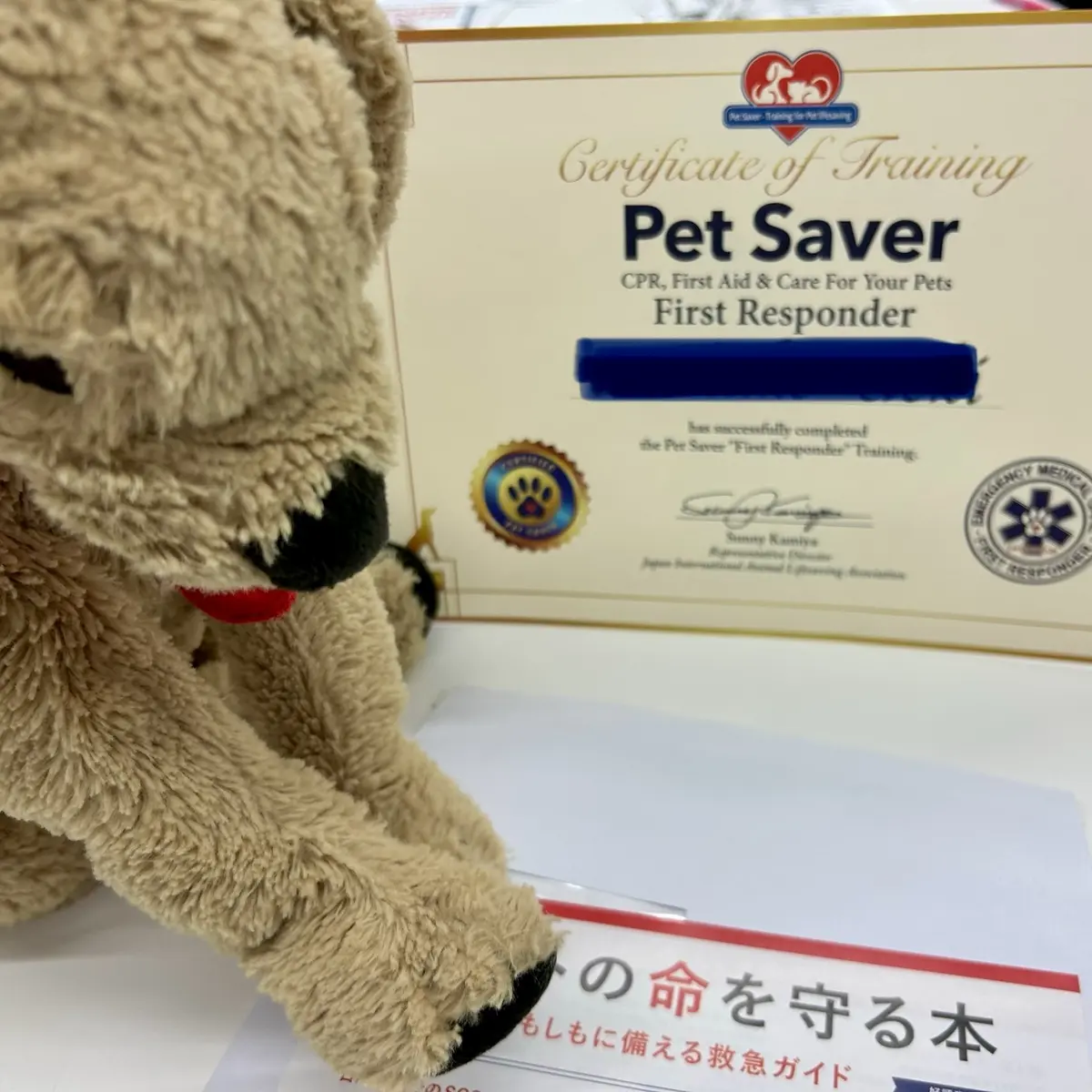 Pet Saverの証書と実技で使ったぬいぐるみ