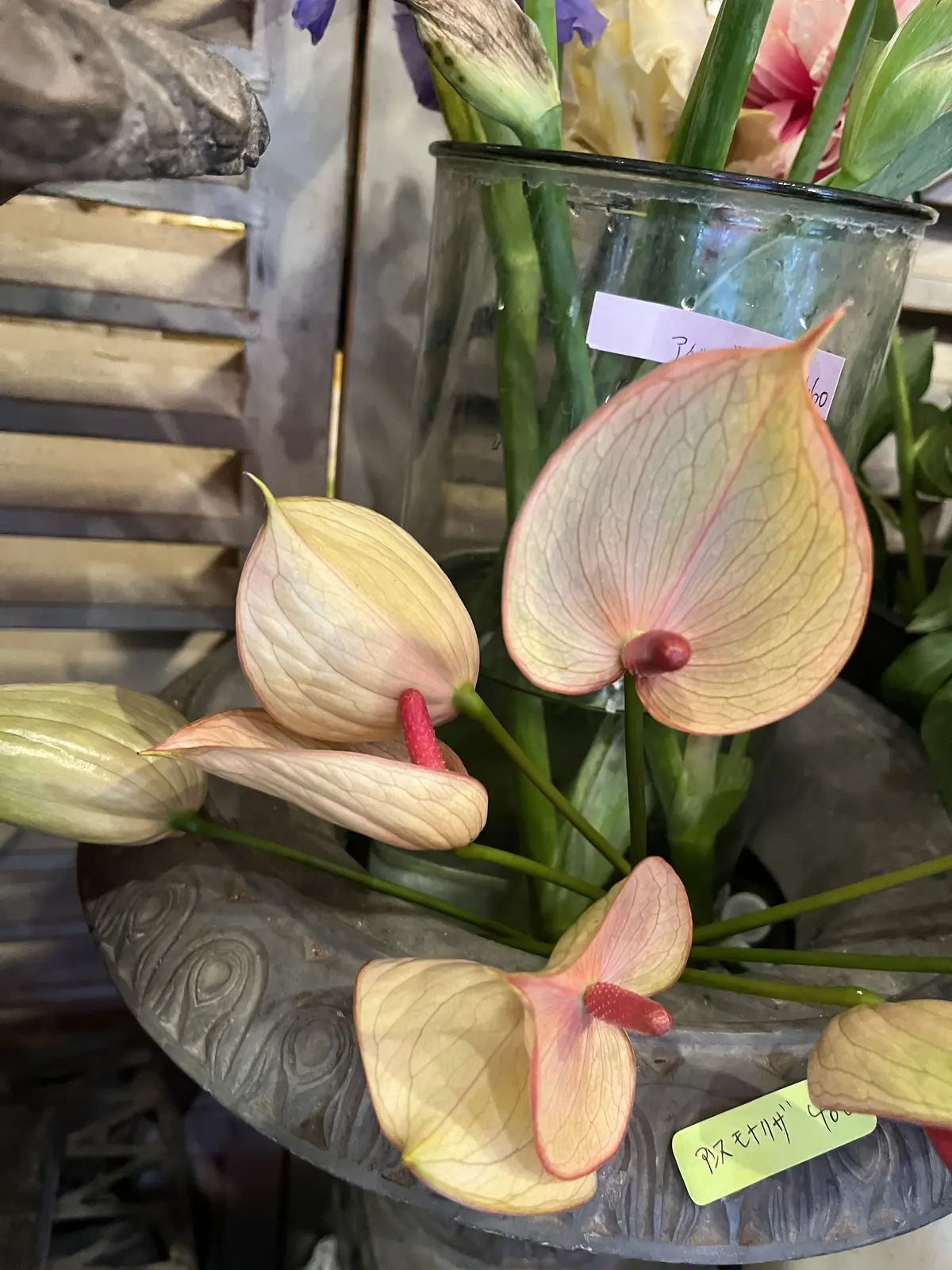 初めて選んだお花でブーケの画像_3