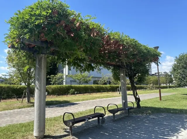 自然を楽しむ私のライフスタイル。の画像_2