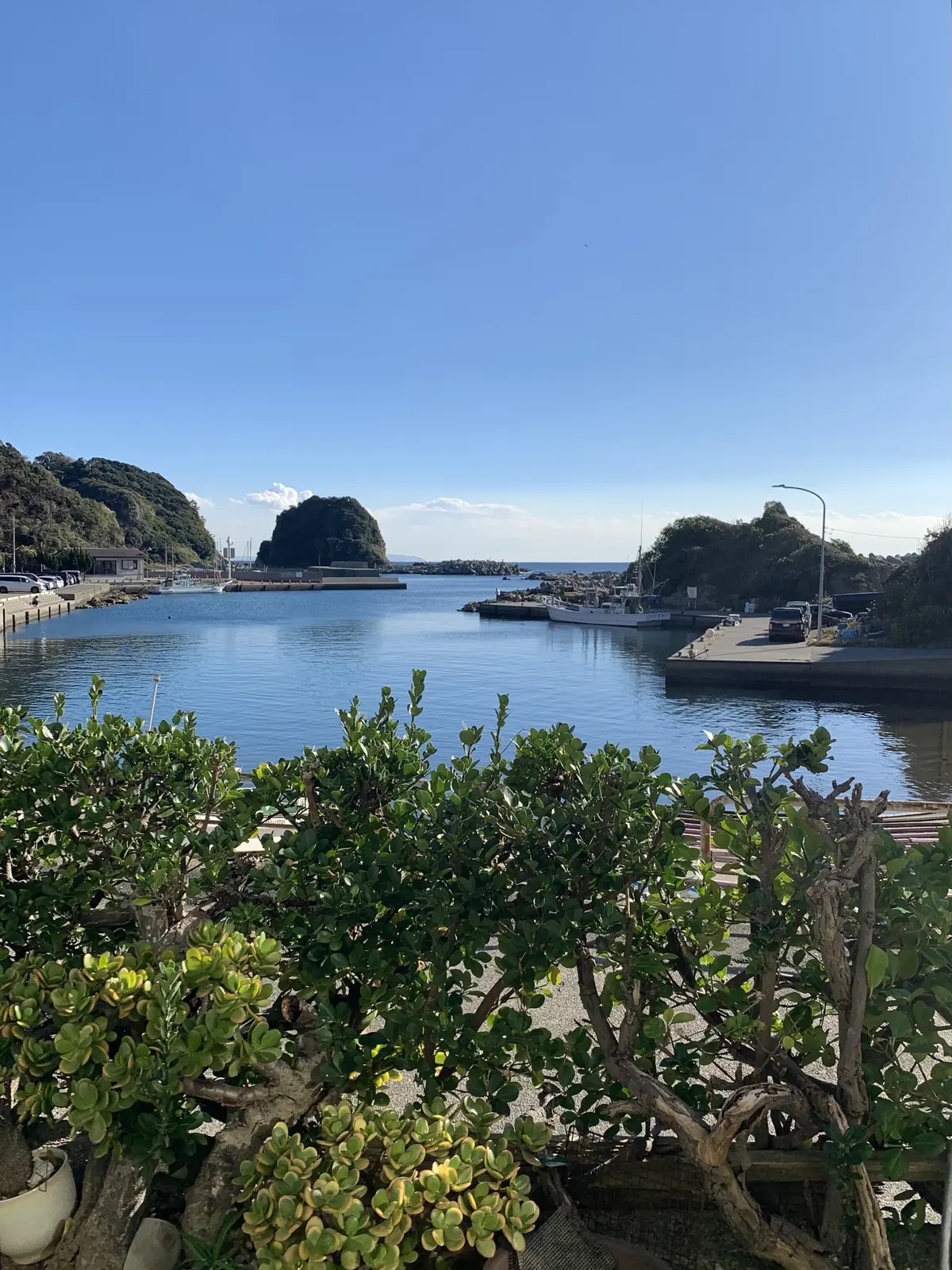 三崎マグロ　まるよし食堂