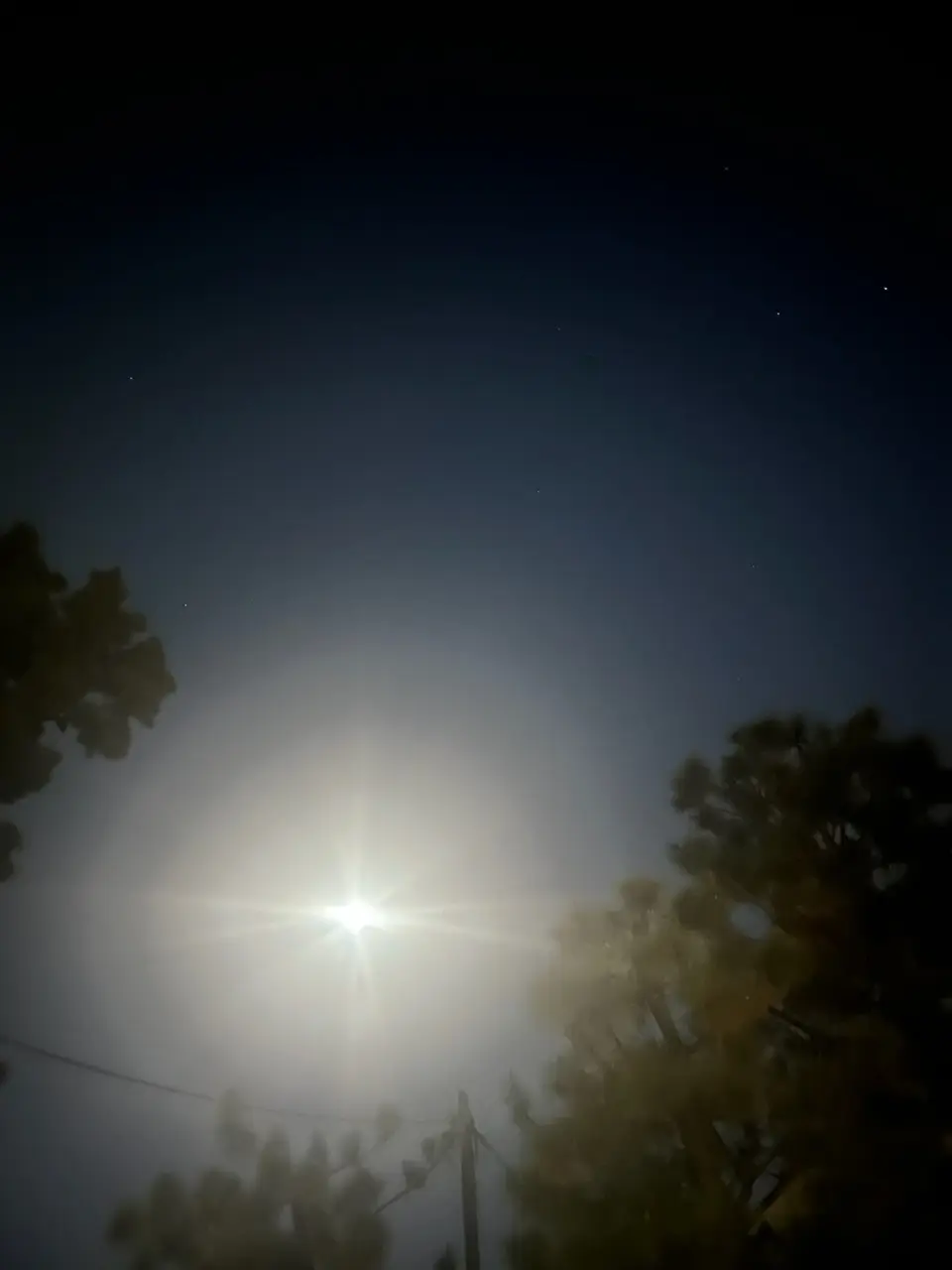 白を味方につけた冬コーデ@パレスホテル東の画像_2